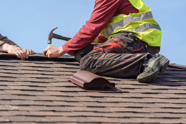 Best Residential Roofing Contractor  in Wayland, IA