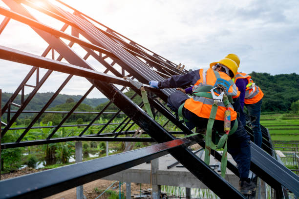 Best Local Roofing Companies  in Wayland, IA