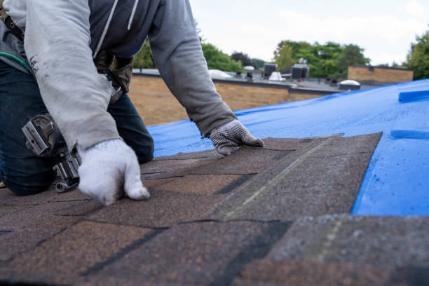 Best Commercial Roofing Services  in Wayland, IA