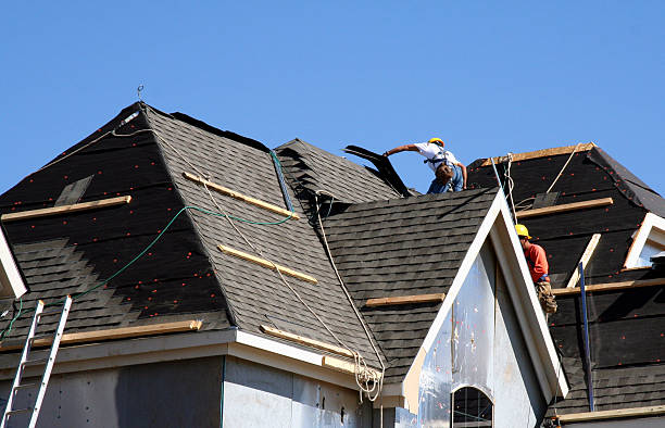 Best Local Roofing Companies  in Wayland, IA