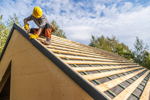 Best New Roof Installation  in Wayland, IA