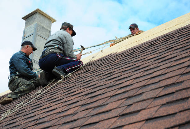 Best Residential Roofing Contractor  in Wayland, IA