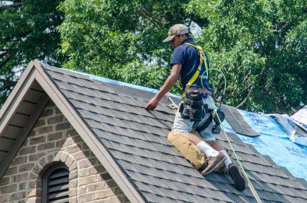 Best Best Roofing Contractors  in Wayland, IA